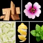 Preview: Duftnoten: Zedernholz, Geranie, Apfel, Zitrone, Minze Preview: Duftnoten: Zedernholz, Geranie, Apfel, Zitrone, Minze